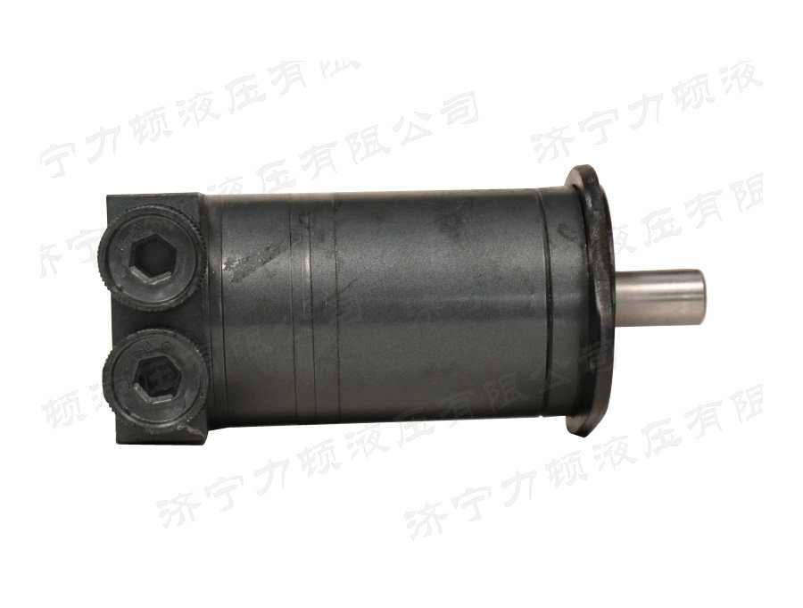 华体会(中国)侧油口系列马达